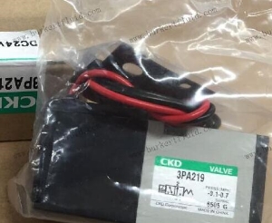 3PA219-06-3 CKD喜开理上海代理