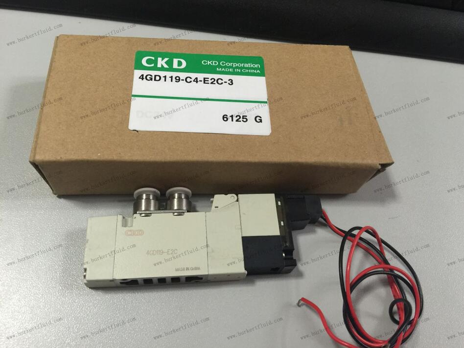 4GD 119-C4-E2C-3.jpg